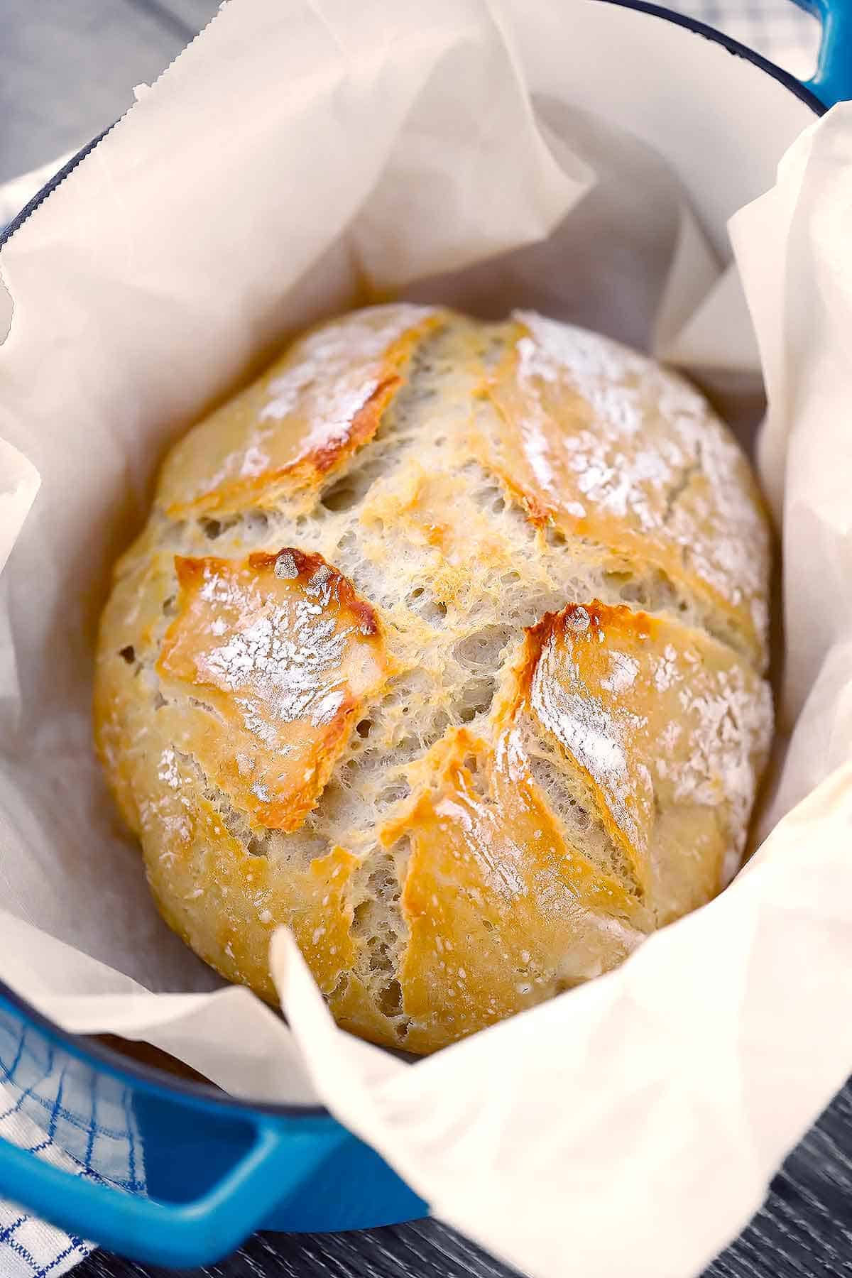 Dutch Oven No Knead Bread with a Crisp Crust and Fluffy Interior