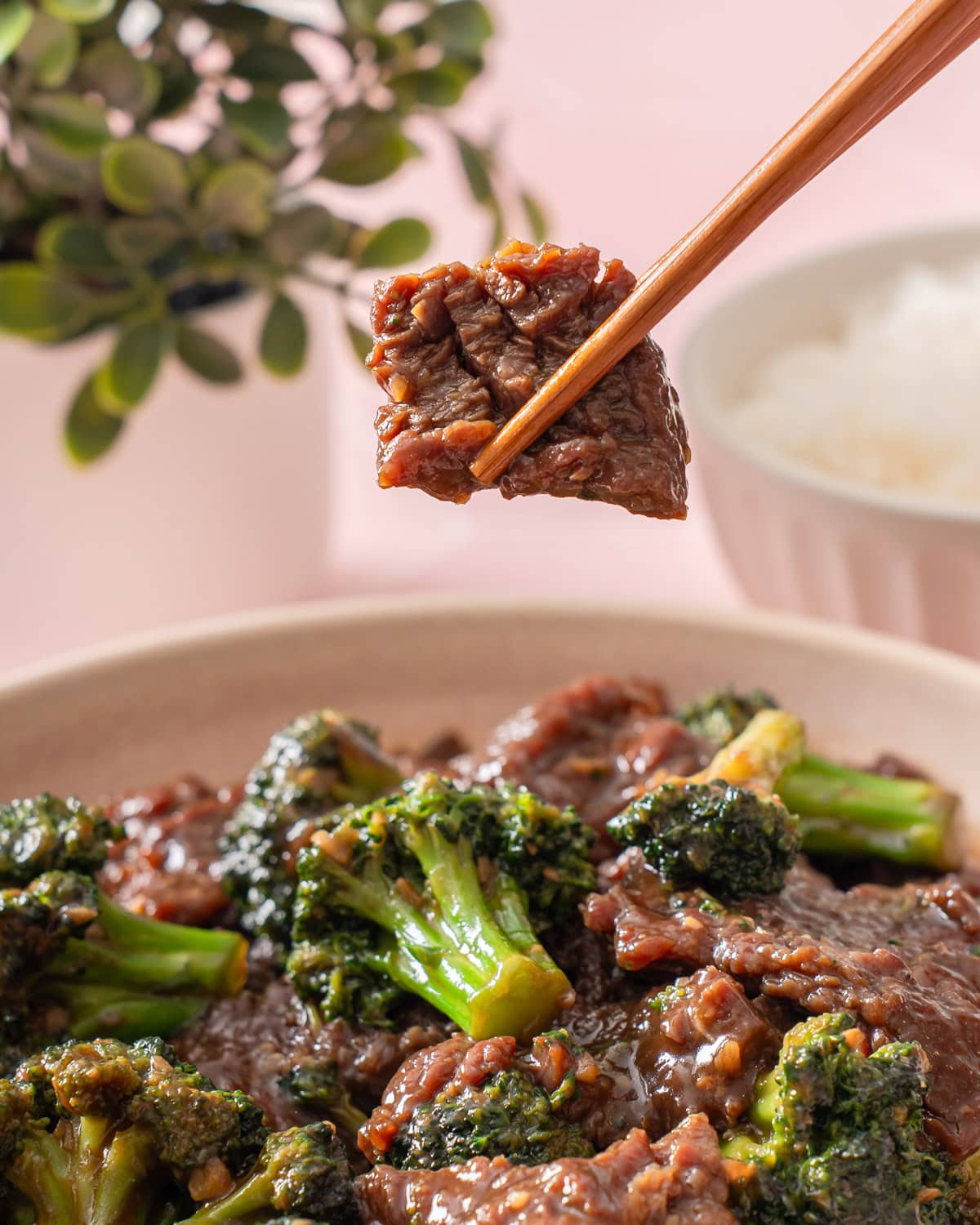 Chinese Beef And Broccoli With Savory Brown Sauce