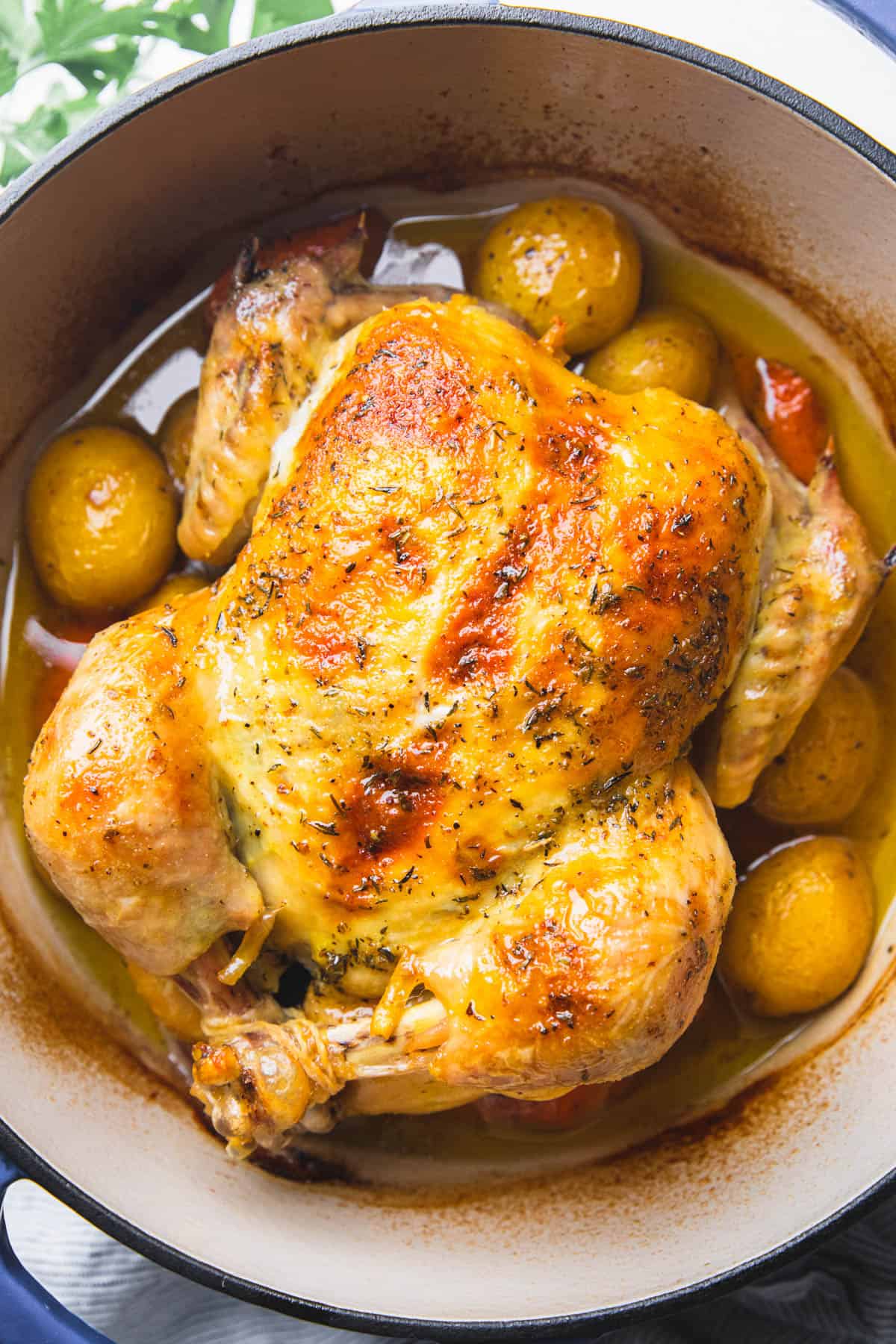 Dutch Oven Whole Chicken with Crispy Skin and Herb Butter