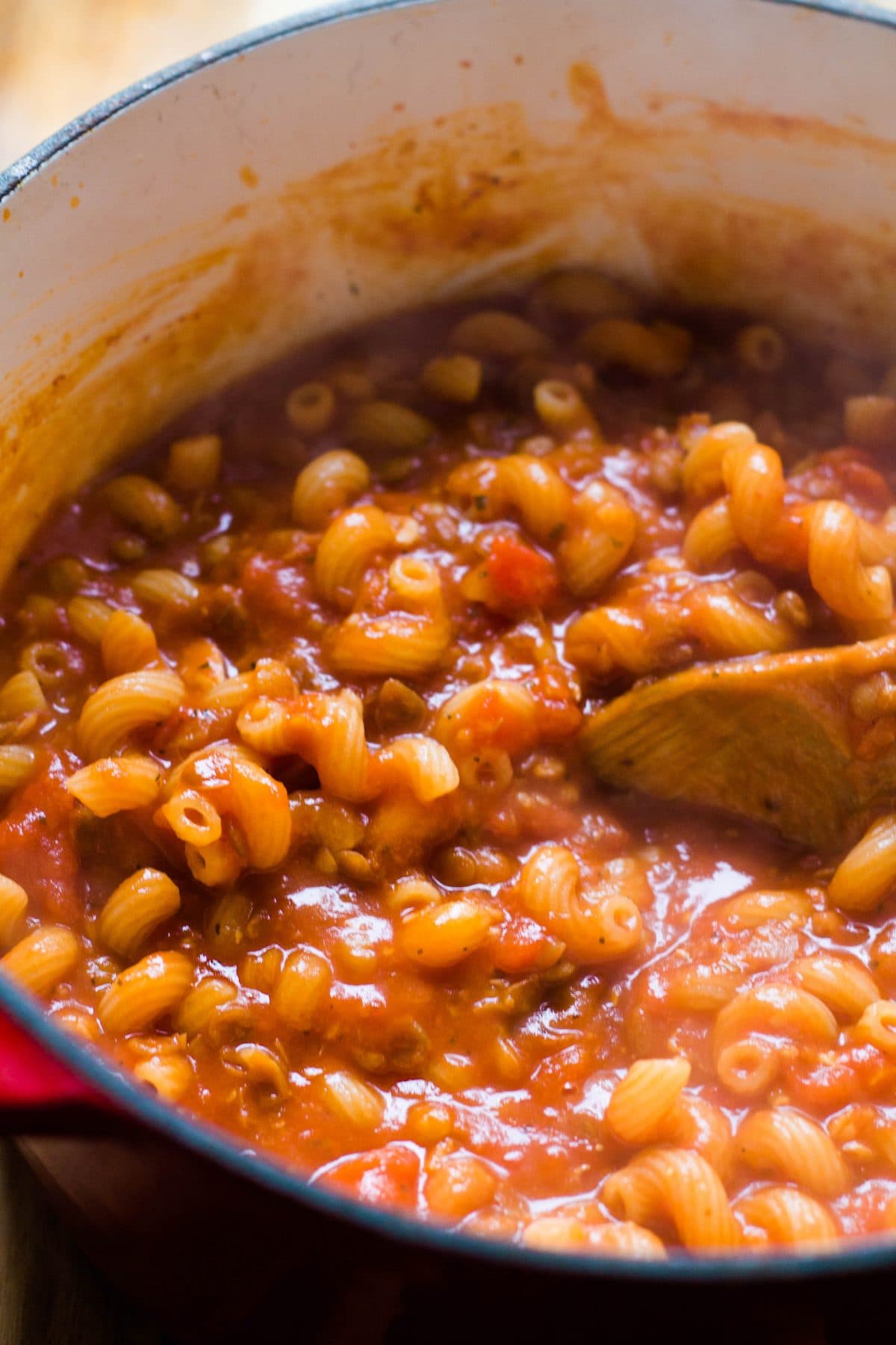 One Pot Pasta with Cheesy Lentil Sauce: Creamy Tomato Family Dinner