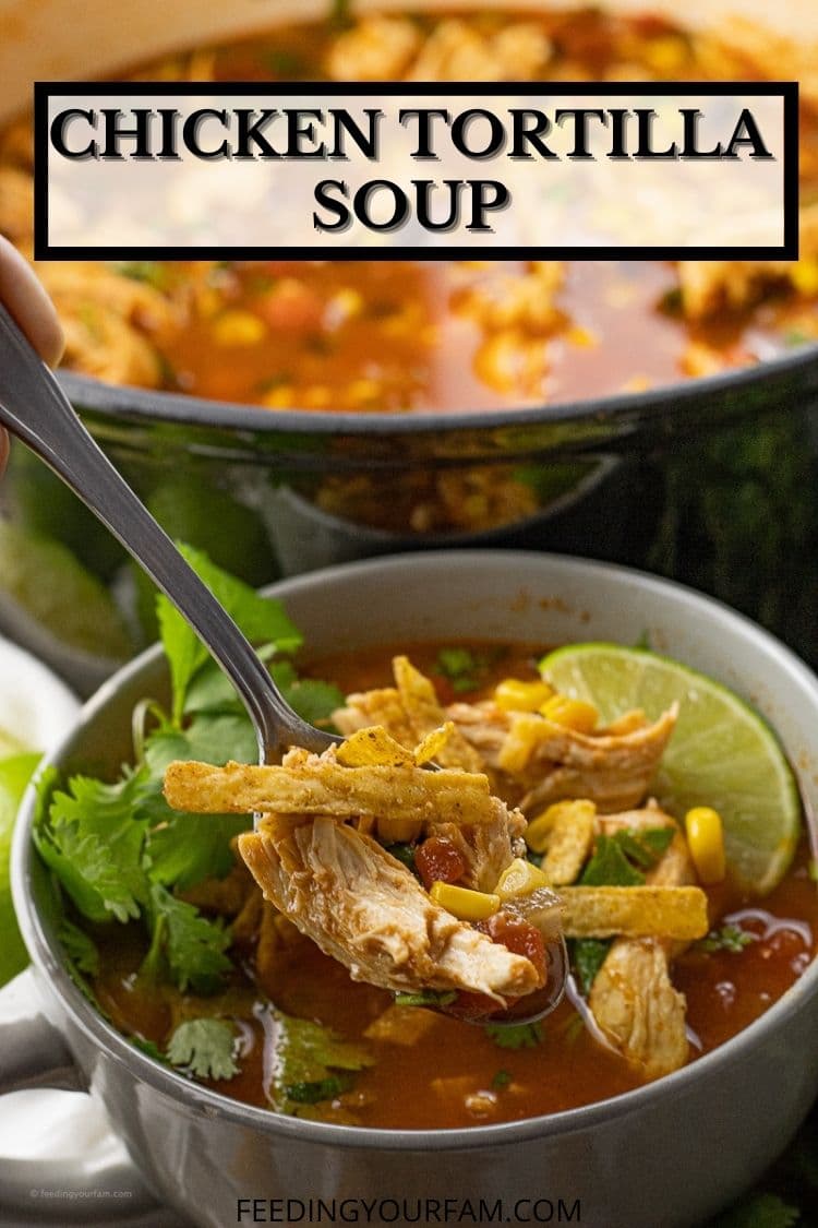 Chicken Tortilla Soup with Black Beans and Corn