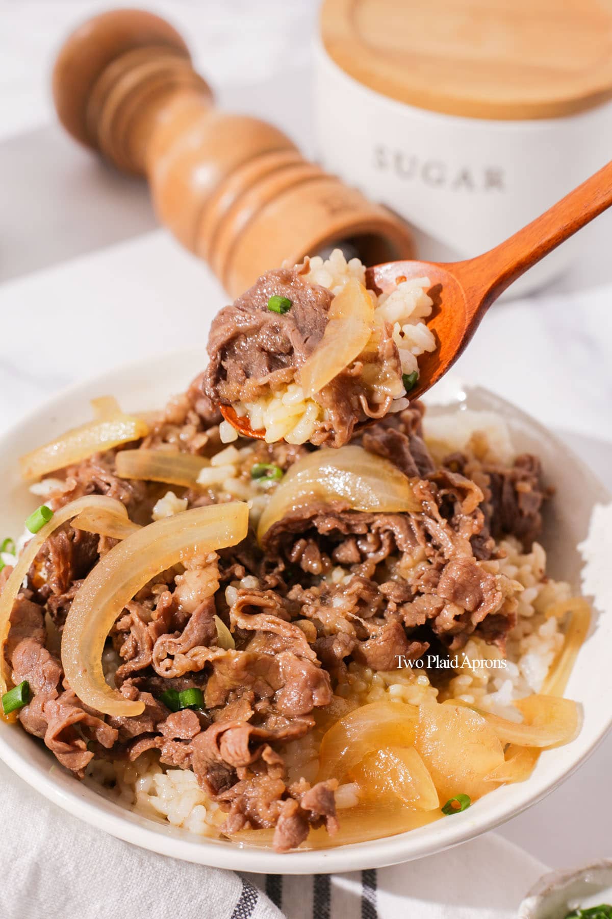 Gyudon: Japanese Beef Bowl with Sweet-Savory Onion Sauce
