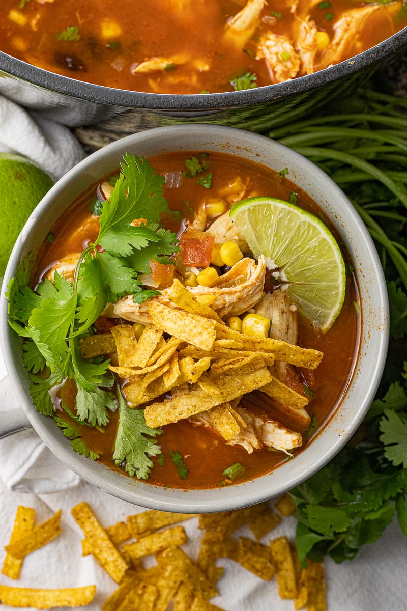 Chicken Tortilla Soup with Black Beans and Corn